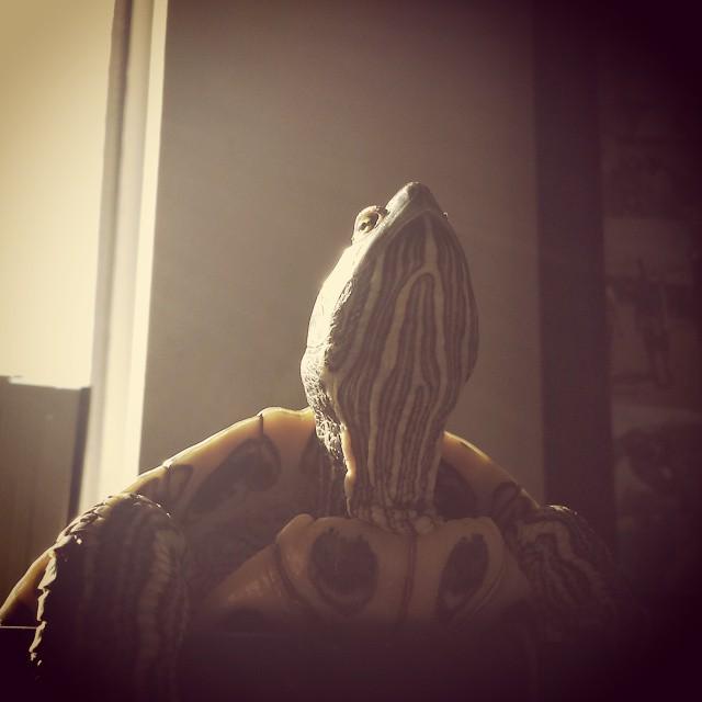 Always glorious, always judging... ift.tt/1x8BMrr