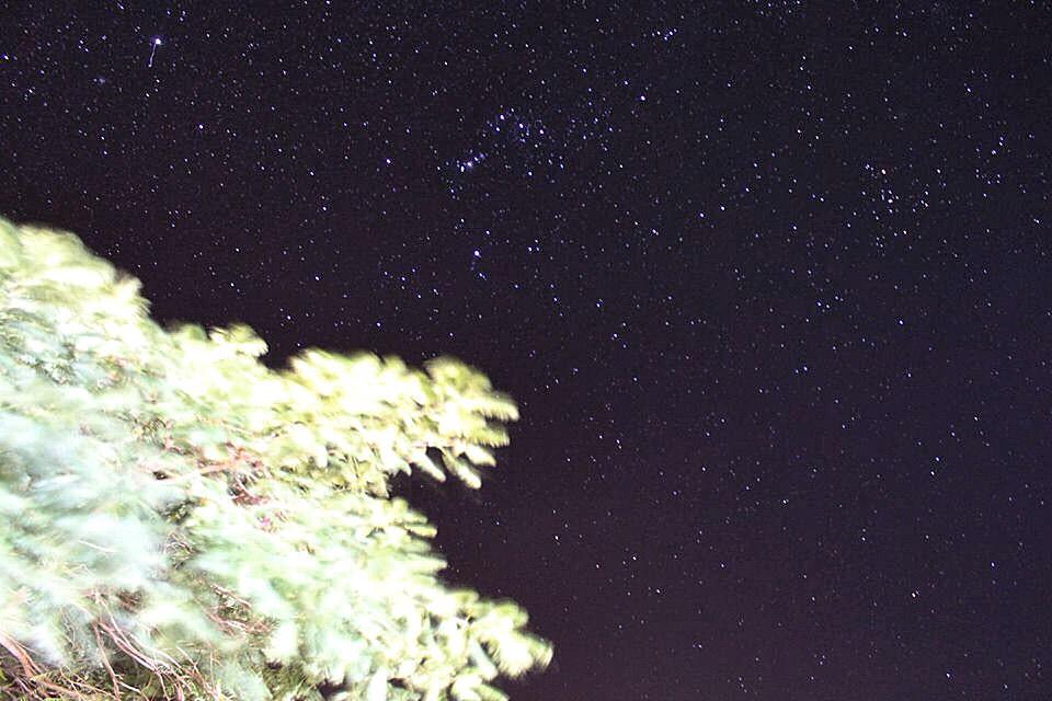 thatanusboy's tweet image. 🙇