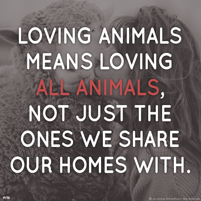 amandxas's tweet photo. โ@peta: Compassion for ALL animals #IsABeautifulThing โค๏ธ http://t.co/BDjpXoCkF5โ