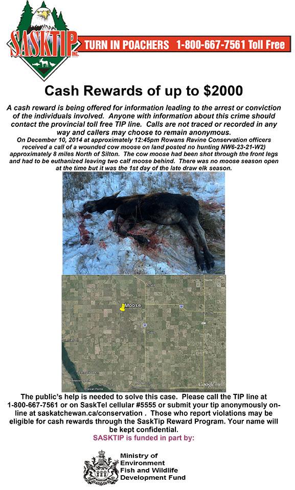 New unsolved cases: lots of action near Rowan's Ravine. Check them out goo.gl/H2TiGt