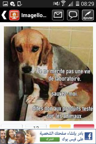 regularshow137's tweet image. :(