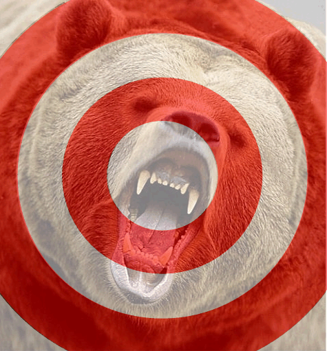 Hit the bear right between the eyes. Throwing strikes has never been easier.  baseballglovetargets.com/Baseball_Glove…