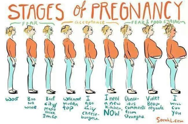 TryingNot's tweet image. “@YourBabyClub: Stages of pregnancy #PregnancyProblems http://t.co/Z3y1yCm2iL” 40 weeks and 3 days- I am at the "I will cut you" stage.