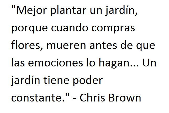 _cbspain's tweet image. DATO: Chris Brown escribió este interesante Tweet esta mañana, &amp;amp; después lo borró...