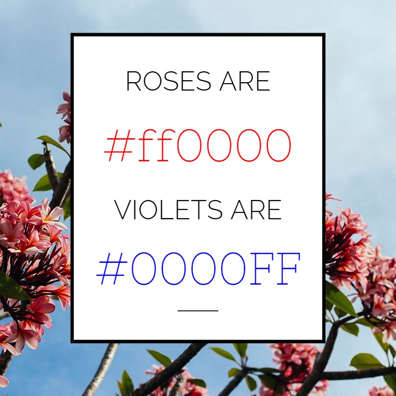 webs's tweet image. Spring is just around the corner! #HTMLHumor #HexCode