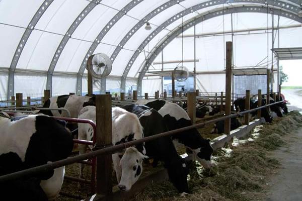 Northbuilt's tweet image. Customize a structure to fit your personal needs! call for a quote! 2505668483 or visit northbuilt.ca