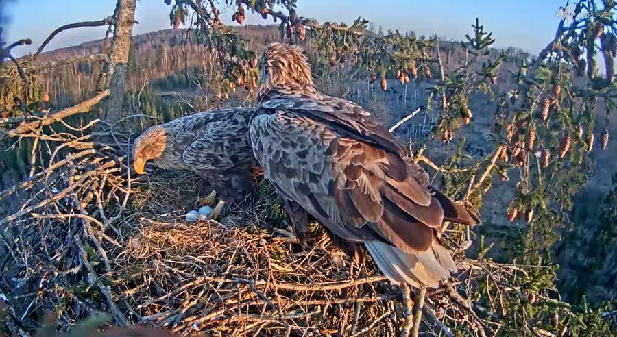 Gunārs Grundštoks tweet media