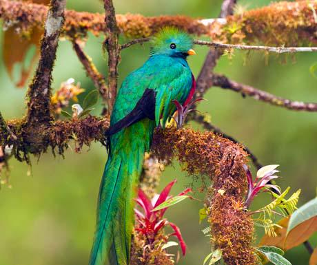 luxurytravel's tweet photo. Central America’s secret seven http://t.co/hazoKkAztg http://t.co/Pg48YEKSlM