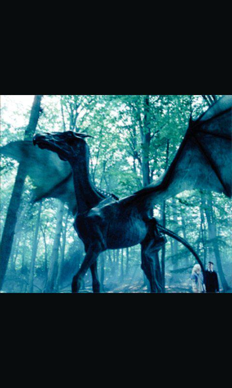 ChoChangttys's tweet image. Enserio quiero un Thestral,no son criaturas fascinantes, increíbles, maravillosas y elegantes?