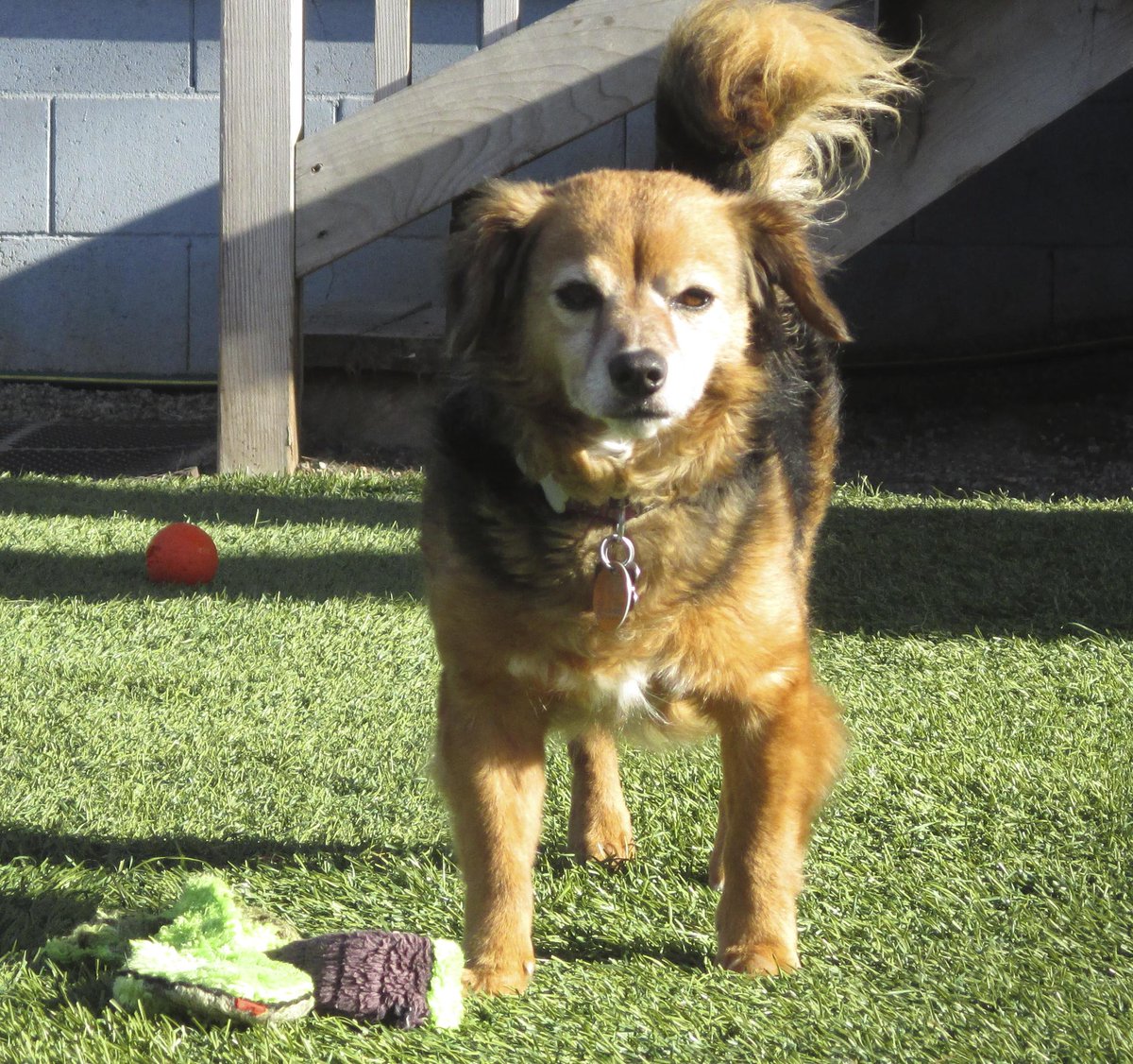 Bed and Biscuits (bedandbiscuits) Twitter