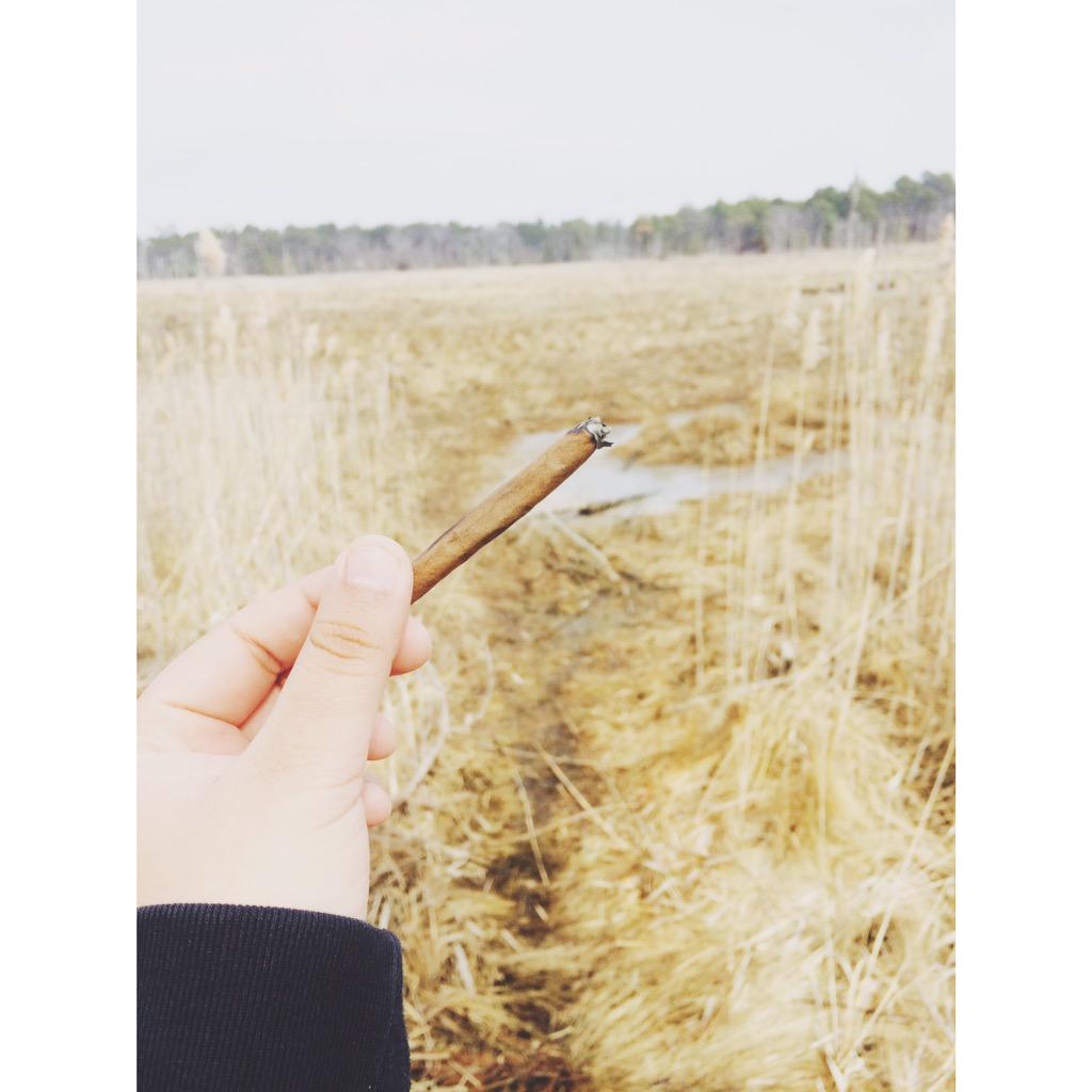 amxndarxse's tweet photo. today's smoke spot 😊🔥 @BurnHere http://t.co/LMar0CIGl4