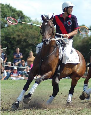 Audi Polo tweet media