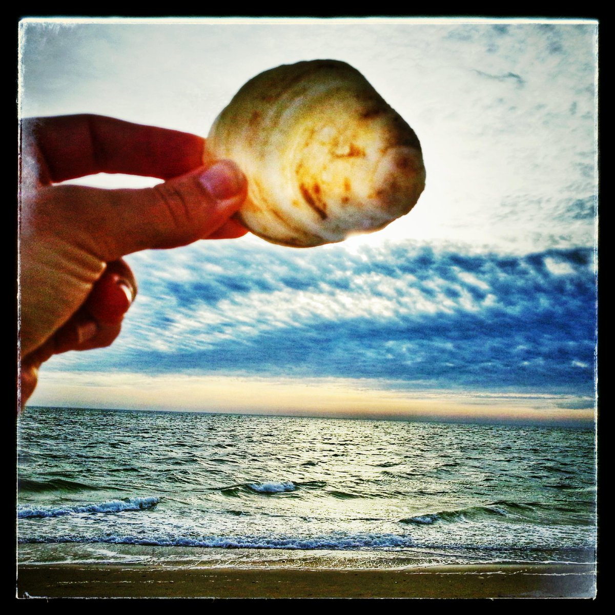 Caro hat eine #Muschel als Souvenir von #Sylt mitgebracht. Was ist euer schönstes Sylt-Souvenir? Foto: Caro Kratkey