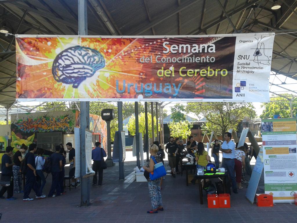 Brain_Facts_org's tweet photo. RT @SemanaCerebroUY: Ya arranca #Semanadelcerebro #brainweek Uruguay @UNASEV http://t.co/25LilVDx23