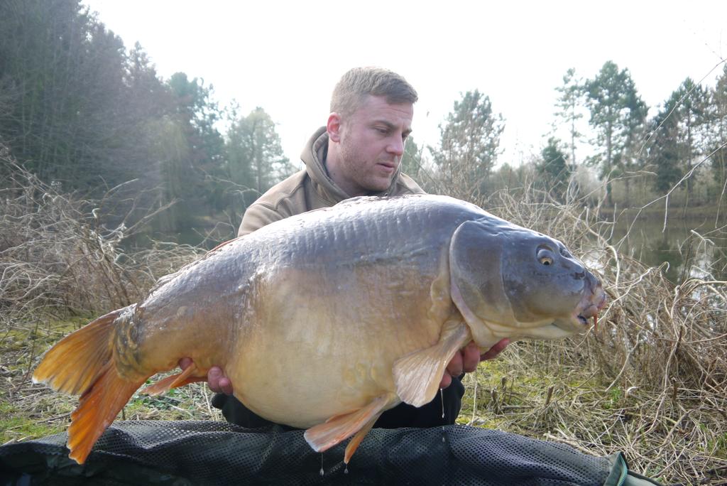 BiancaWetzl's tweet image. Orchard is off and running. Four from today the best being the leathery looking mirror which is 40lb +