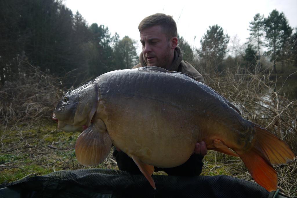 BiancaWetzl's tweet image. Orchard is off and running. Four from today the best being the leathery looking mirror which is 40lb +