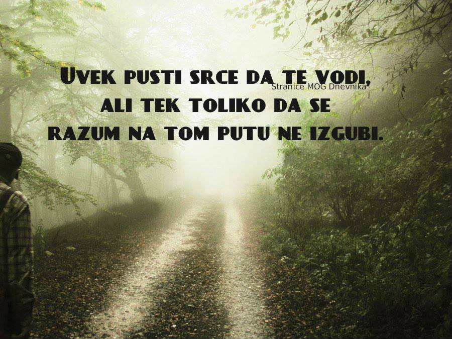 Violeta36747407's tweet photo. http://t.co/zS7rXqjsBh