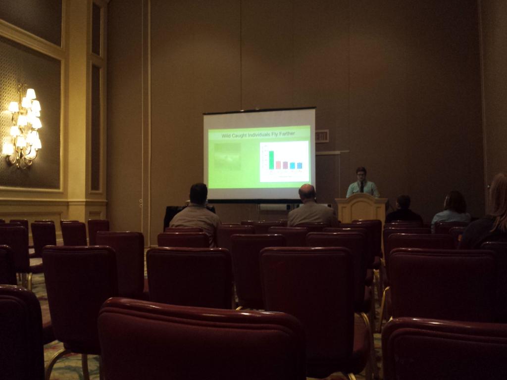 SEB talks all afternoon. Here we hear from James about the kudzu bug and their ability to disperse based on diet.