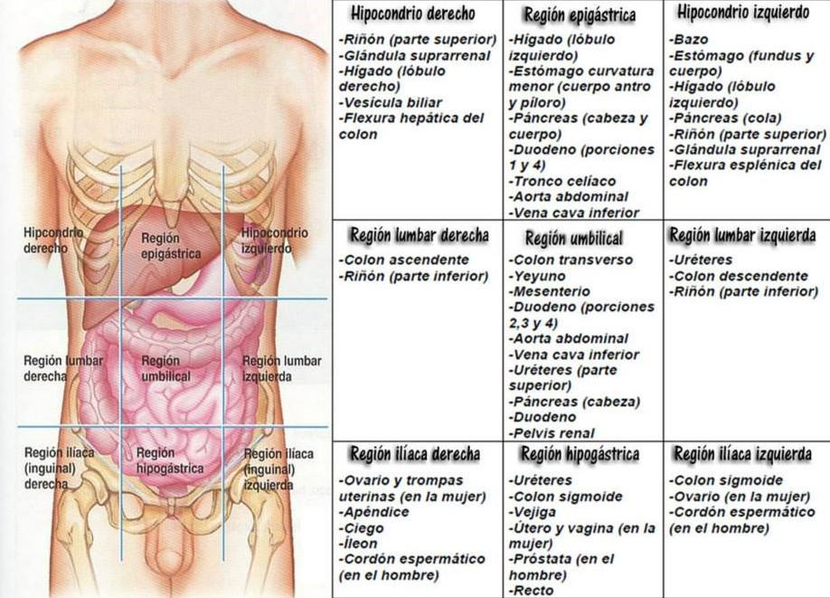 Dolor lado derecho abdomen bajo gases