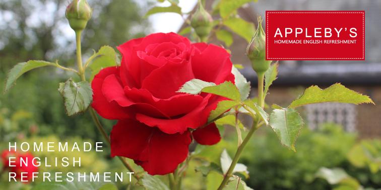 ApplebysMcr's tweet image. we make everything fresh to order and offer really friendly service! #APPLEBYS