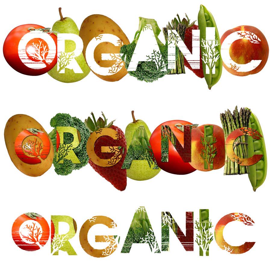 Your_SecondHome's tweet photo. Some reasons why you should eat #organicfood. #Experience it at #YourSecondHome ! http://t.co/v0lGWuPvN3 #IESEGsmm http://t.co/WGY6AcVxSU