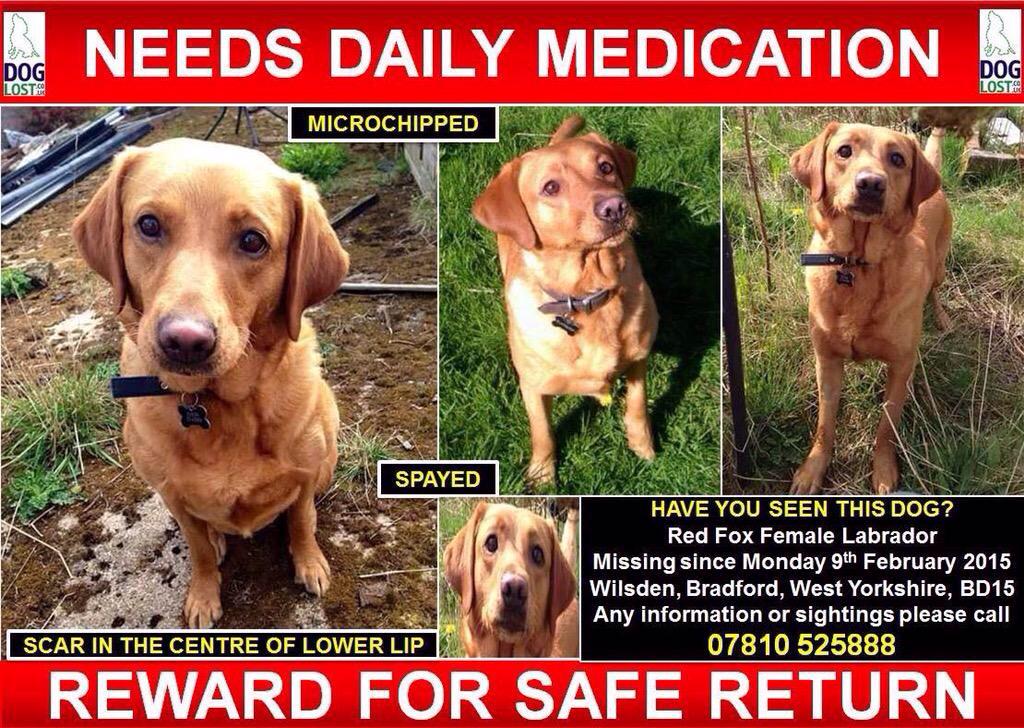michell57319641's tweet photo. @FindShadow @FindMegan2 @FindFiveDogs @findjeff #AllStillMissing #KeepYourEyes/EarsOpen #NeedFinding #πFamilies http://t.co/l5YNWhRwP0