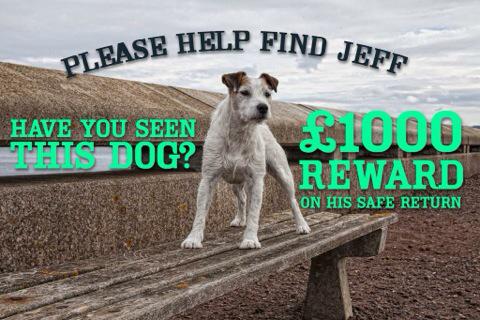 michell57319641's tweet photo. @FindShadow @FindMegan2 @FindFiveDogs @findjeff #AllStillMissing #KeepYourEyes/EarsOpen #NeedFinding #πFamilies http://t.co/l5YNWhRwP0