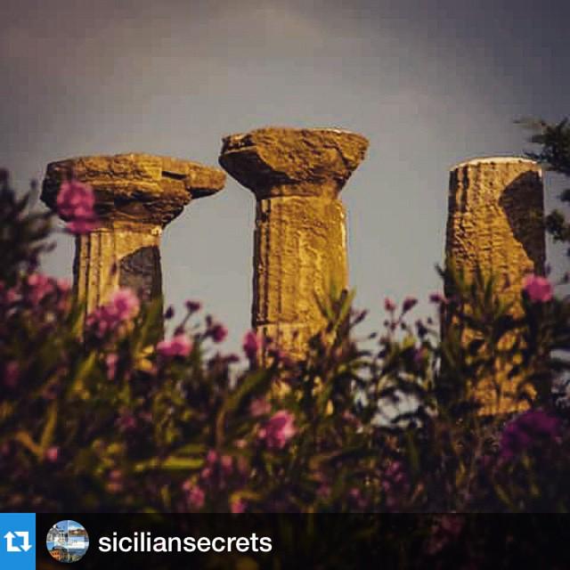 AgrigenTour's tweet photo. Vieni a scoprire le bellezze di #Agrigento su http://t.co/WHGJYQlIBe http://t.co/yzQsR6rVQL