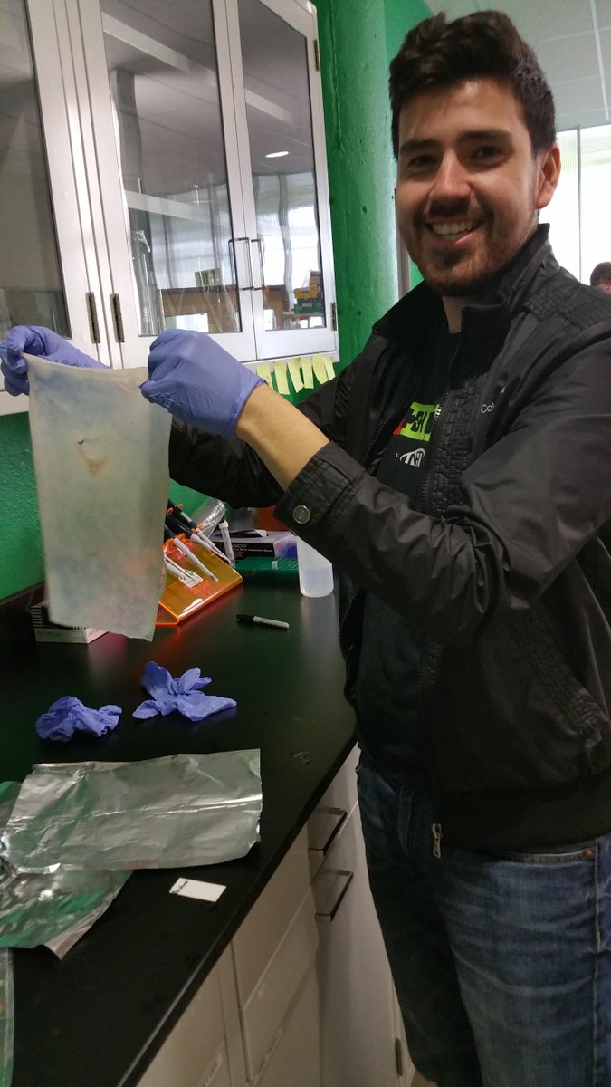 Bio_Loom's tweet image. @indbio Co-labs means more coLABoration. @arturoeliz founder of @ClaraFoods is checking out our raw materials.