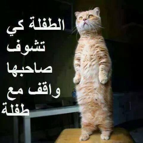 StarFafa's tweet photo. @StarFafa ghh http://t.co/qYA1leif0c