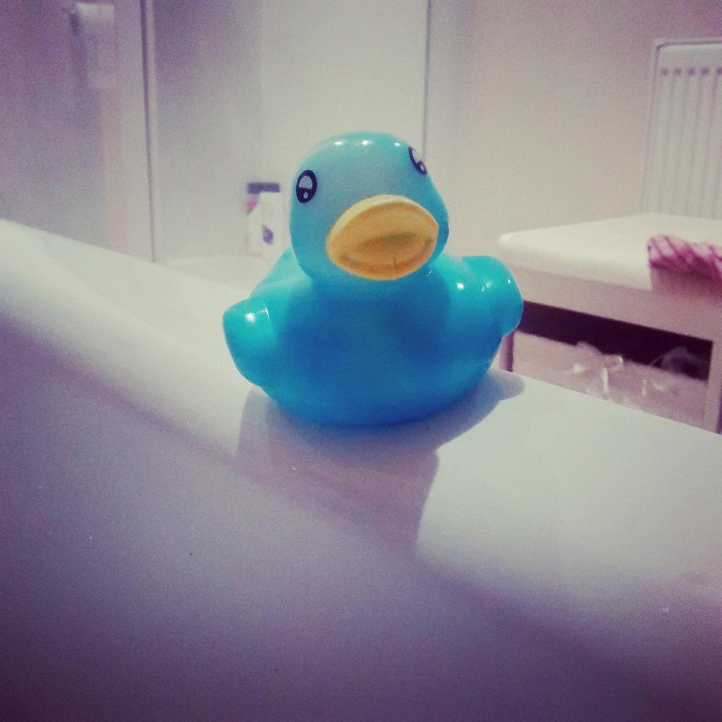 WHHBathrooms's tweet image. Tell us how you would #upyourbathtime Maybe by inviting this little fella along? #ouryorkshire