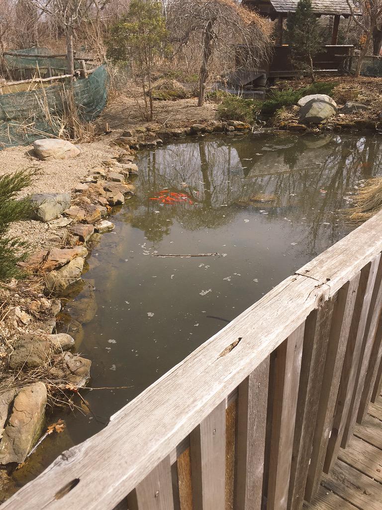 karahoward15's tweet photo. Went on a nice little adventure today by myself ☺️☀️ #4miles #foundapark #foundfish http://t.co/3z5HKyQU50
