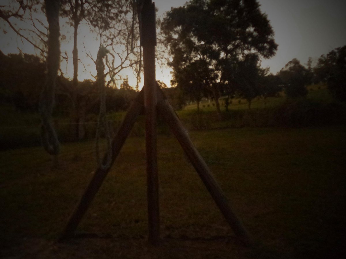 AwkwardPhotoing's tweet image. 🍃