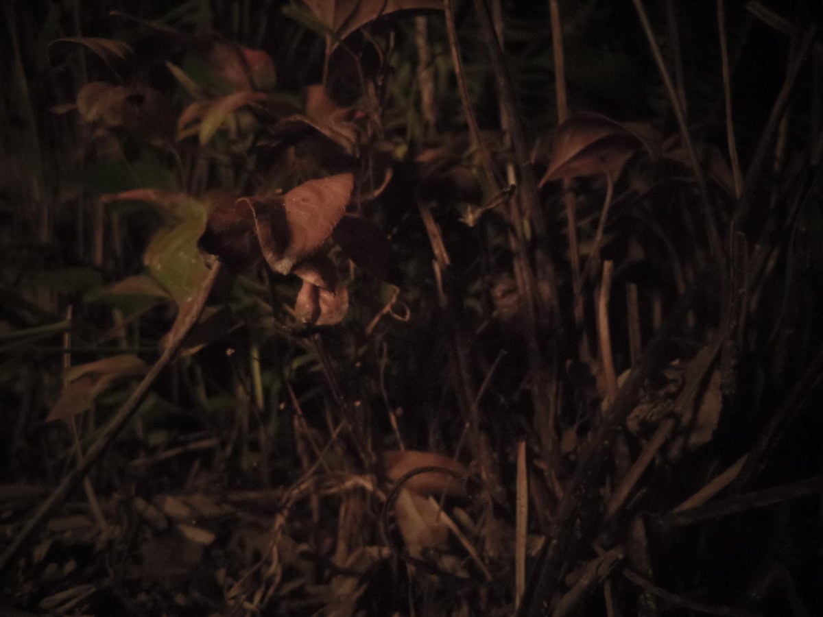 AwkwardPhotoing's tweet image. ✨✨