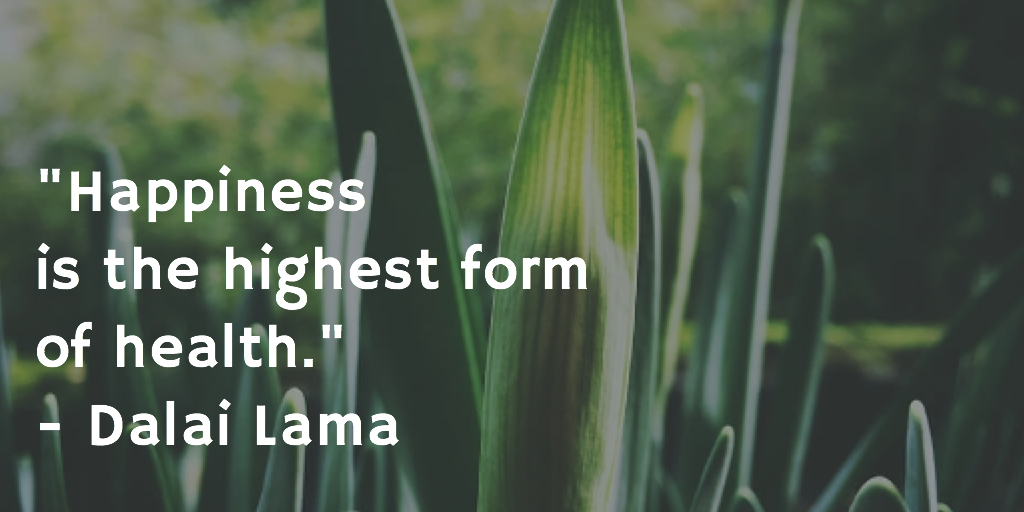 dalai lama quotes health dalai lama quotes health