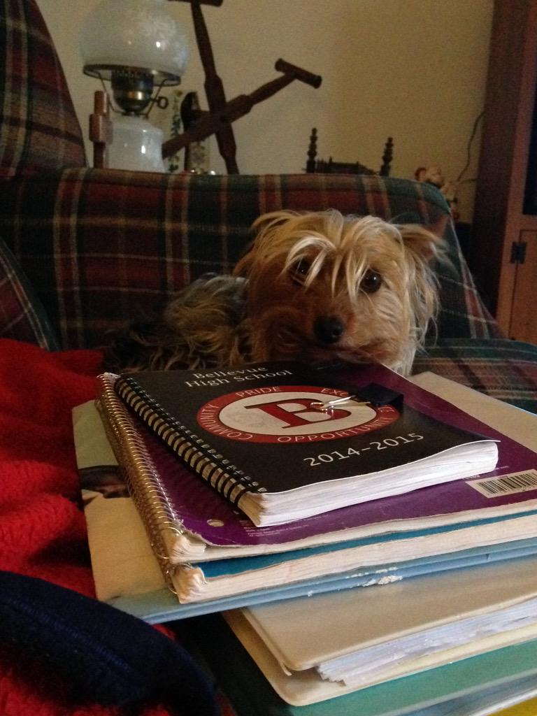 ZeusBlack97's tweet photo. Procrastinating homework http://t.co/bk5hC2T5Q8
