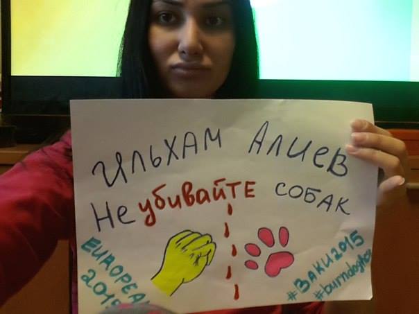 earthlingsdnyli's tweet photo. "aliyev, köpekleri öldürme!" @AksayHakan @yeryuzuozgurluk @hyvnlrzgrlk @EngelliHayvanlr @rusya_russia @CeyilOzmen http://t.co/b2E39x24V7