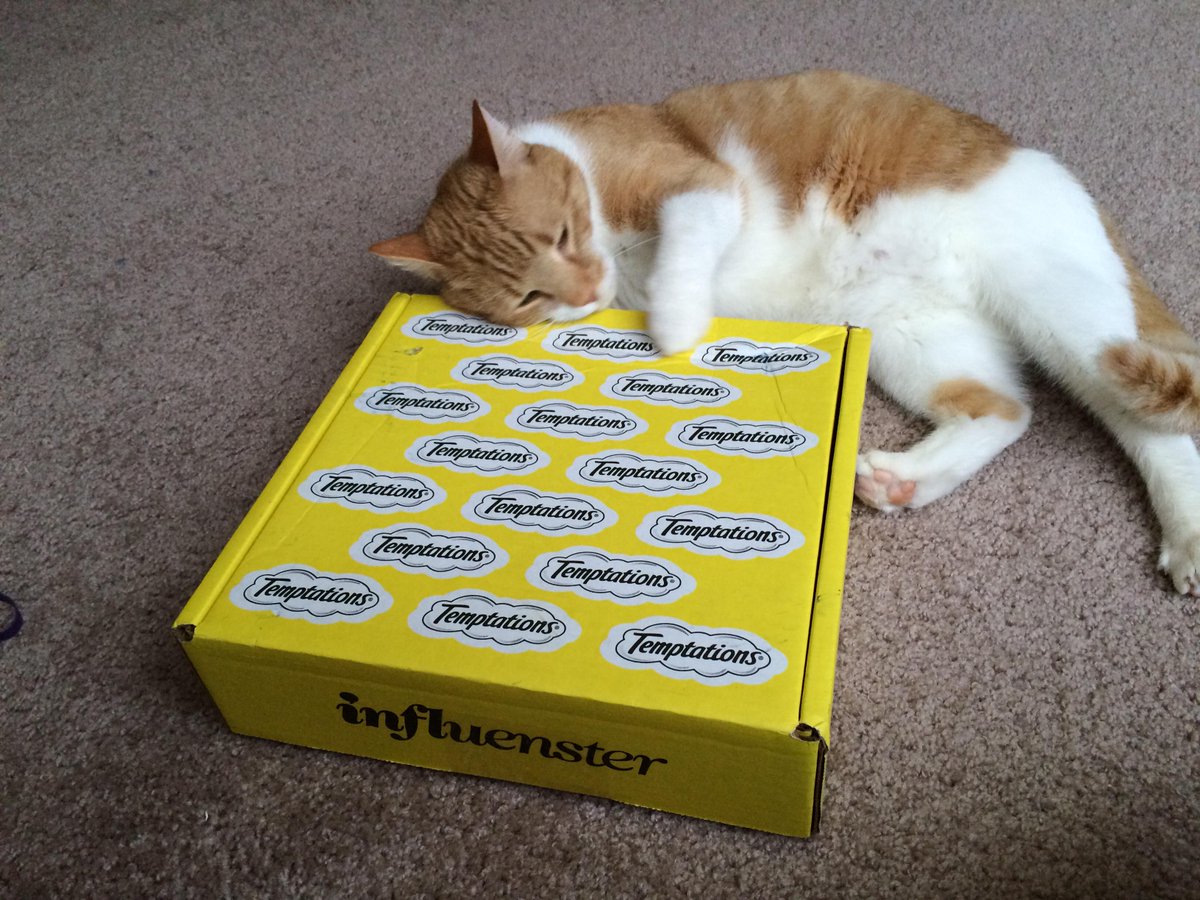 tylervrhyde's tweet image. The best things in life are free from @Influenster #CatVsMouse