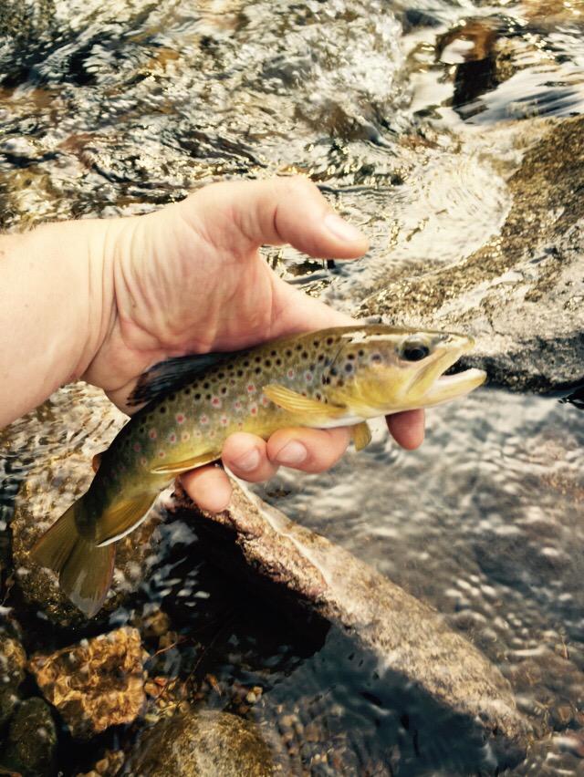 EmmaBNorman's tweet image. #MakeATvShowTasty #MakeAMovieChildFriendly on Boulder Creek #askcensor