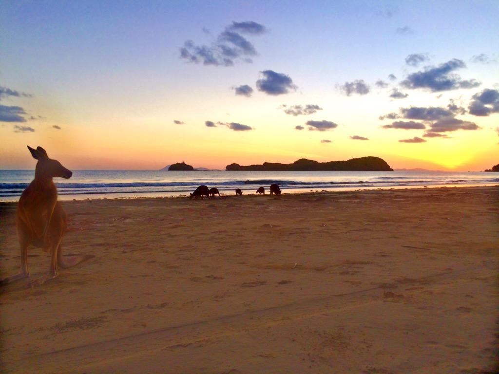 katelockett's tweet photo. Sunrise Australia style 🌅 http://t.co/yeyaMvqY8O