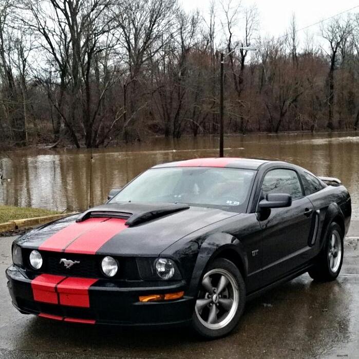 alholmes304's tweet photo. #FordMustang http://t.co/VDL4AcHjvB