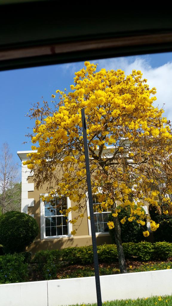 Nydsomi's tweet image. #CNNSpring