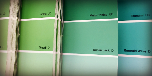 There's no shortage of green around The Co-op, but we couldn't go past Dublin Jack today #stpats #mitre10