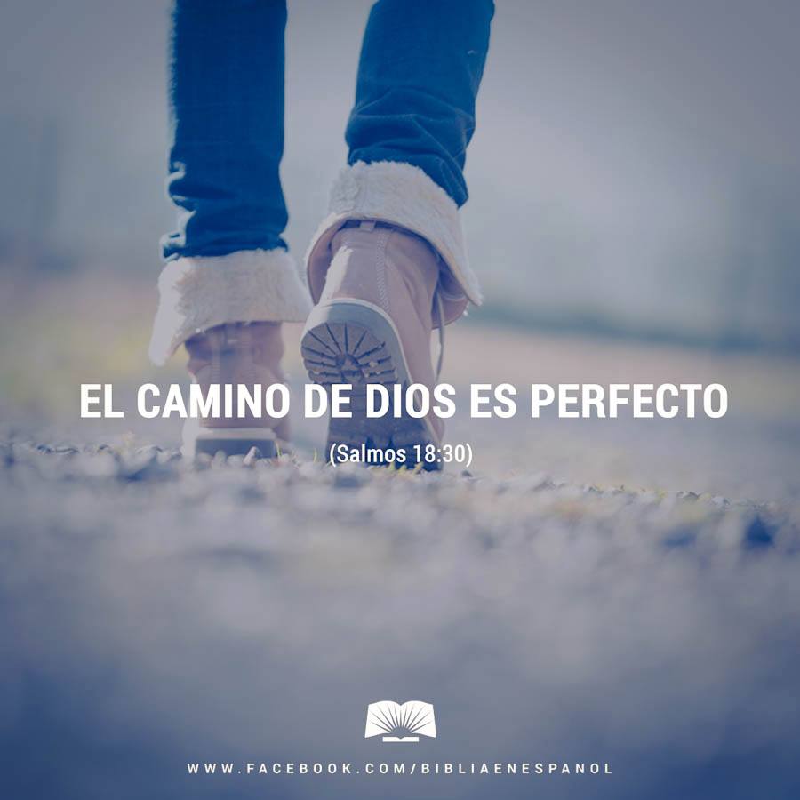 El camino de dios es perfecto; la promesa del señor es digna de ...