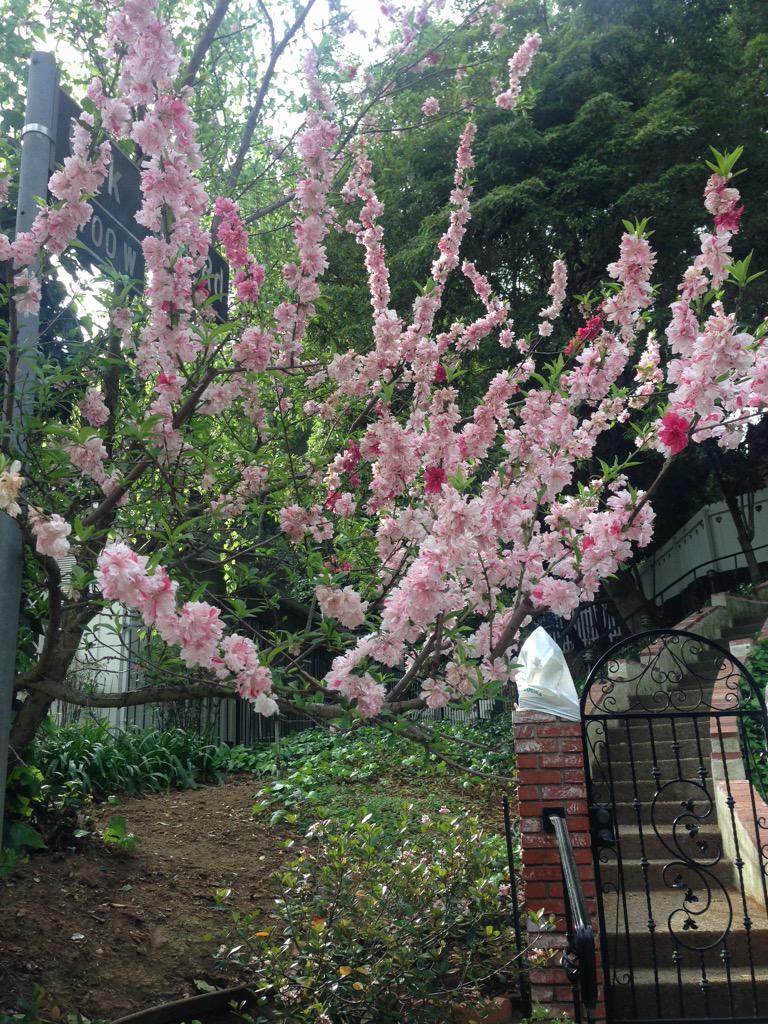 oladanilina's tweet image. #cnnspring