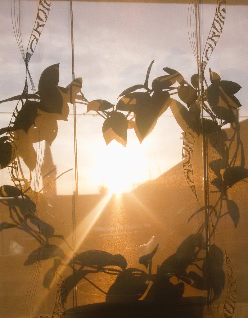 PicsSide's tweet image. 