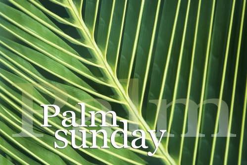 Download this weeks complimentary image for Palm Sunday.  Click the link and download.  bit.ly/1FuV8Ig