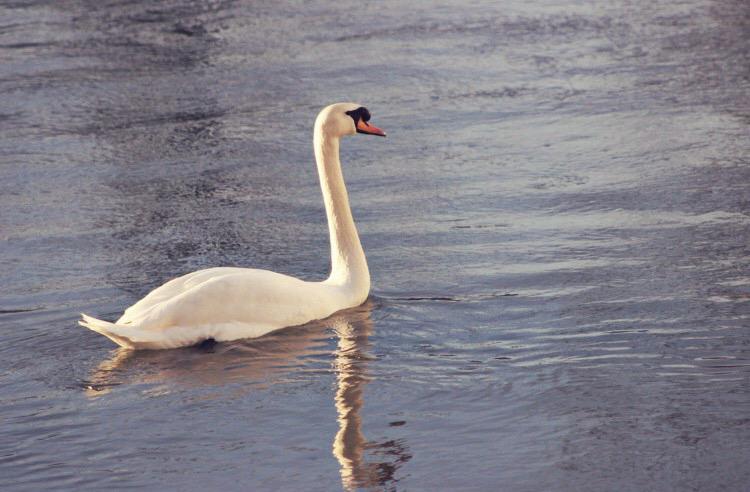 Zaygraphy's tweet photo. Good Morning 🌾 #landscape #photography #QuaideParis http://t.co/MtEnlH5laW