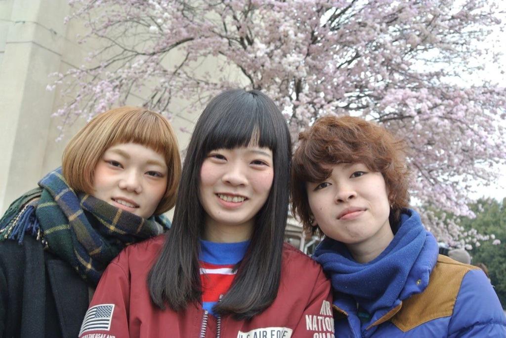 shishamo on twitter 3 17 24 30 tv shishamo on twitter 3 17 24 30 tv