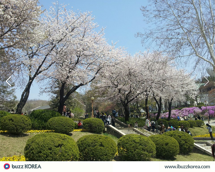 ibuzzkorea's tweet photo. [K-Trend]
March is an exiting month for campuses in #Korea as the new semester begins! http://t.co/3RT9wsuFN1